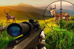 Wild Hunter Sniper